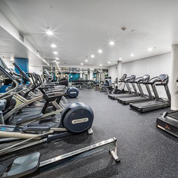 A gym with treadmills, elliptical machines, and a rowing machine.